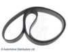 BLUE PRINT AD07R1872 V-Ribbed Belts
